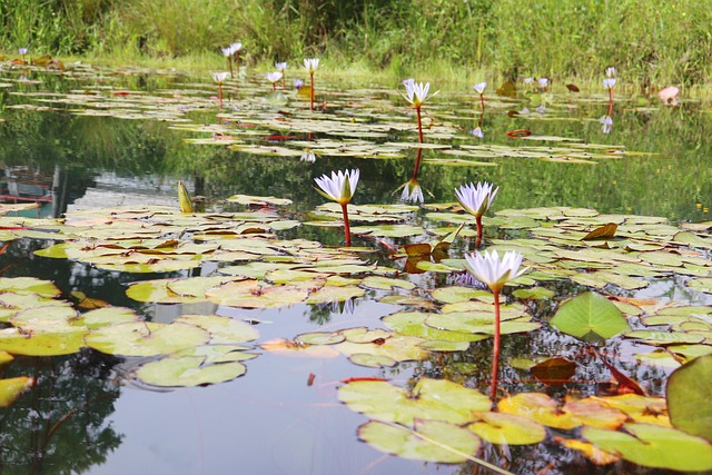 paisaje de Chile con costa y cordillera, ruta de viaje educativa